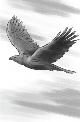 Өмір жорығы - Фото 3