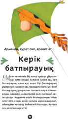 Менің ұшатын керігім - Фото 4