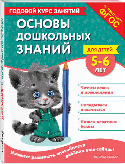 Основы дошкольных знаний для детей 5-6 лет. Годовой курс занятий