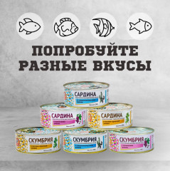 Сардина атлантическая бланшированная в масле со средиземноморскими травами - Фото 4