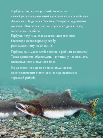 Горбуша натуральная с пряностями