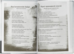 Не стреляйте, мы ваши братья! - Фото 1