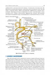 Детская оториноларингология для врача общей практики - Фото 3