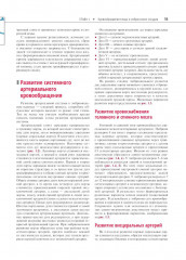 Атлас сосудистой анатомии Уфлакера. Ангиографический подход - Фото 4