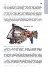 Орофациальная боль. Междисциплинарный подход - Фото 6