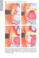 Орофациальная боль. Междисциплинарный подход - Фото 7