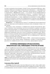 Анатомия человека - Фото 6