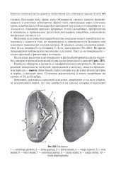 Анатомия человека - Фото 7