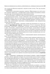 Анатомия человека - Фото 11