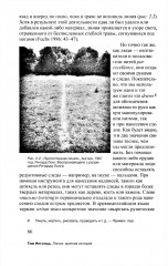 Линии: краткая история - Фото 11