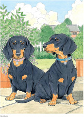 Creative Haven The Dog Lovers' Coloring Book - Фото 2