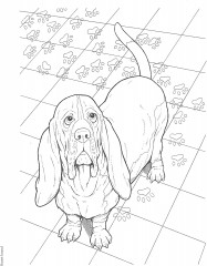 Creative Haven The Dog Lovers' Coloring Book - Фото 3