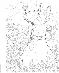 Creative Haven The Dog Lovers' Coloring Book - Фото 7
