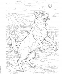 Creative Haven The Dog Lovers' Coloring Book - Фото 8