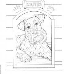 Creative Haven The Dog Lovers' Coloring Book - Фото 10