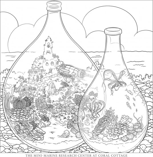 Tiny Worlds: Secret Wonders