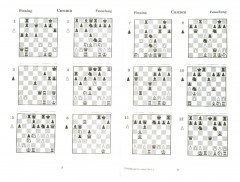 2000 шахматных задач. 1-2 разряд. Часть 1. Связка. Двойной удар - Фото 1