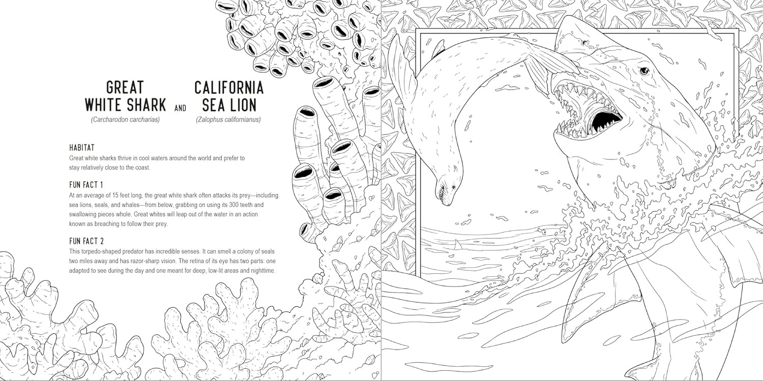 Predators: A Smithsonian Coloring Book | Фото 1