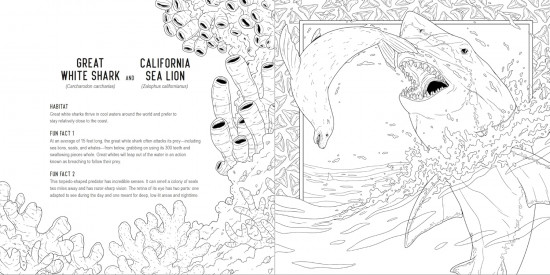Predators: A Smithsonian Coloring Book