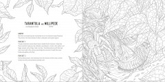 Predators: A Smithsonian Coloring Book - Фото 3