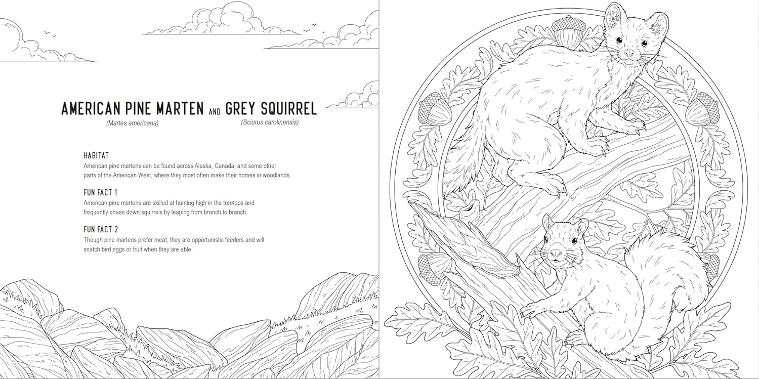 Predators: A Smithsonian Coloring Book | Фото 4