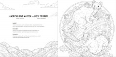 Predators: A Smithsonian Coloring Book - Фото 4