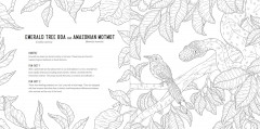 Predators: A Smithsonian Coloring Book - Фото 7