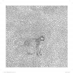 The Hidden Creatures Coloring Book - Фото 3