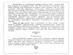 Дополнительный курс каллиграфических украшений - Фото 4