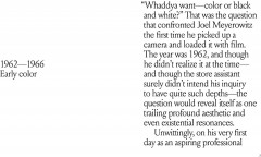 Joel Meyerowitz: A Question of Color - Фото 2