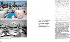 Joel Meyerowitz: A Question of Color - Фото 10