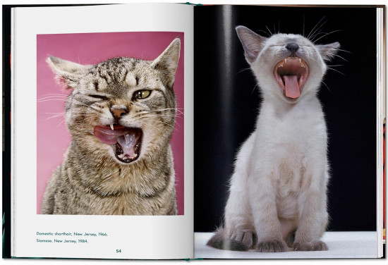 Cats. Photographs 1942-2018