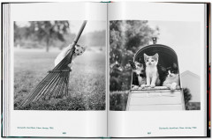 Cats. Photographs 1942-2018 - Фото 6