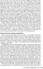 Кишечная микробиота как регулятор работы органов и систем человека - Фото 11