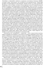 Кишечная микробиота как регулятор работы органов и систем человека - Фото 12