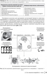 Кишечная микробиота как регулятор работы органов и систем человека - Фото 13