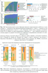 Кишечная микробиота как регулятор работы органов и систем человека - Фото 14
