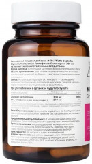 Детокс-комплекс для похудения и очищения «Milk Thistle Geptoflex. Расторопша Гептофлекс» - Фото 2