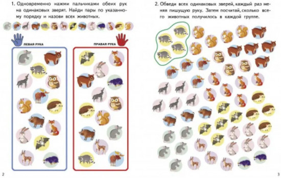 Нейроразминка. Лесные звери. 5-7 лет