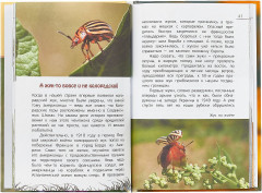 Язык на ногах. Очерки о насекомых - Фото 1