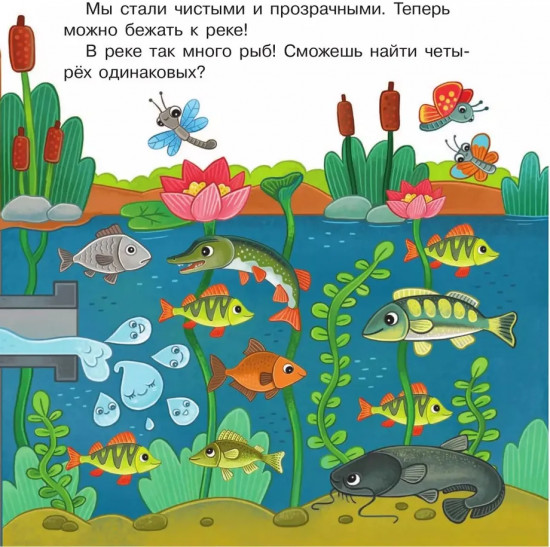 Удивительное путешествие Капельки с завитком