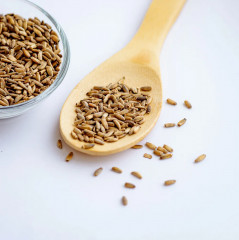 Семена расторопши - Фото 1