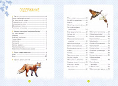 Лесные животные - Фото 3