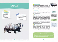 Лесные животные - Фото 6