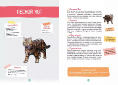 Лесные животные - Фото 8