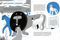 Твои коты - Фото 3