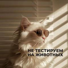 Набор из жидкого мыла и крема для рук «Черная амбра & слива» - Фото 15