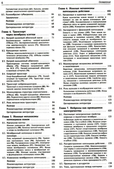 От нейрона к мозгу