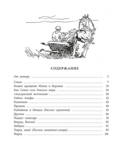 Пират, ищи!