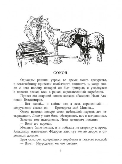 Пират, ищи!